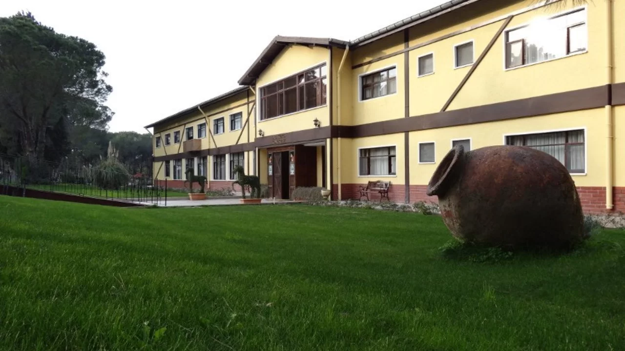 TİGEM'den 15 Safkan Arap Koşu Tayı  için satış ihalesi
