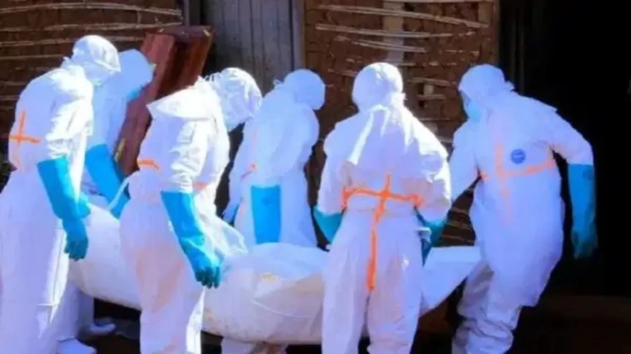 Kongo Demokratik Cumhuriyeti'nde Ebola salgınında vaka sayısı 7 bini geçti