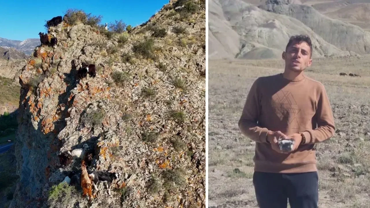 'Tekno çoban' sürüsünü drone ile yönetiyor