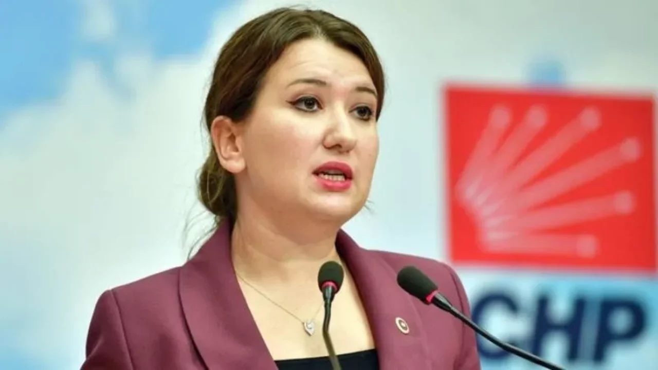 Yeni Partili Gökçen: LGBTİ+ hakları savunucularının hedef alınması sadece ilgili derneklerin deği...