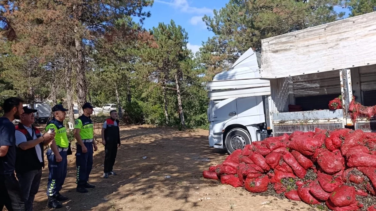 Bursa'da ele geçirilen 8 ton midye imha edildi