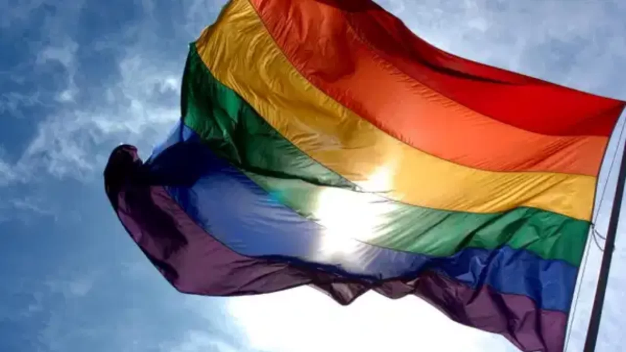 Avrupa Sosyalistleri Partisi'nden Türkiye'deki LGBTİ operasyonlarına tepki