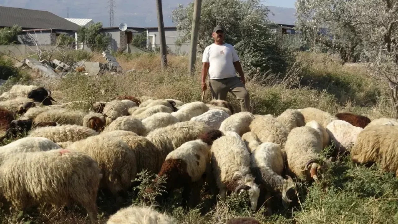 80 bin TL maaş veriyor, çalışacak adam bulamıyor