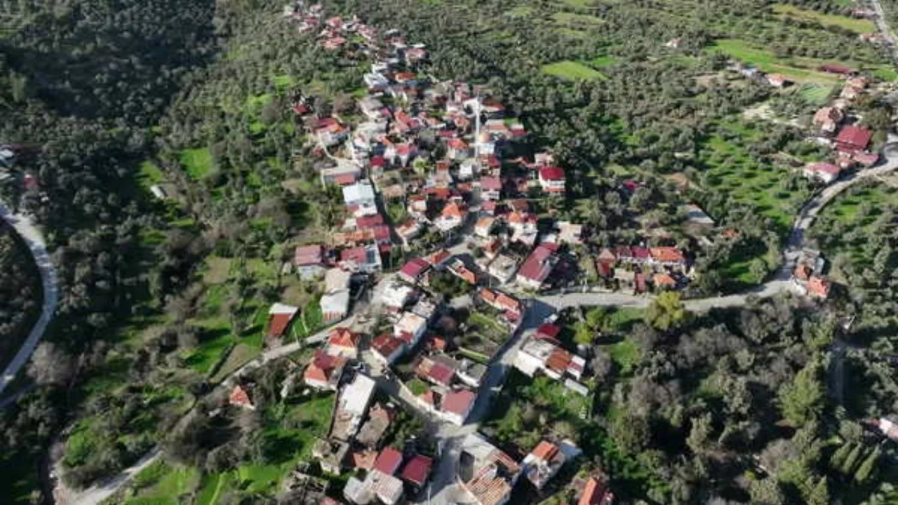 Akbelen davasında Danıştay Savcısı'ndan "kamu yararı" mütalaası