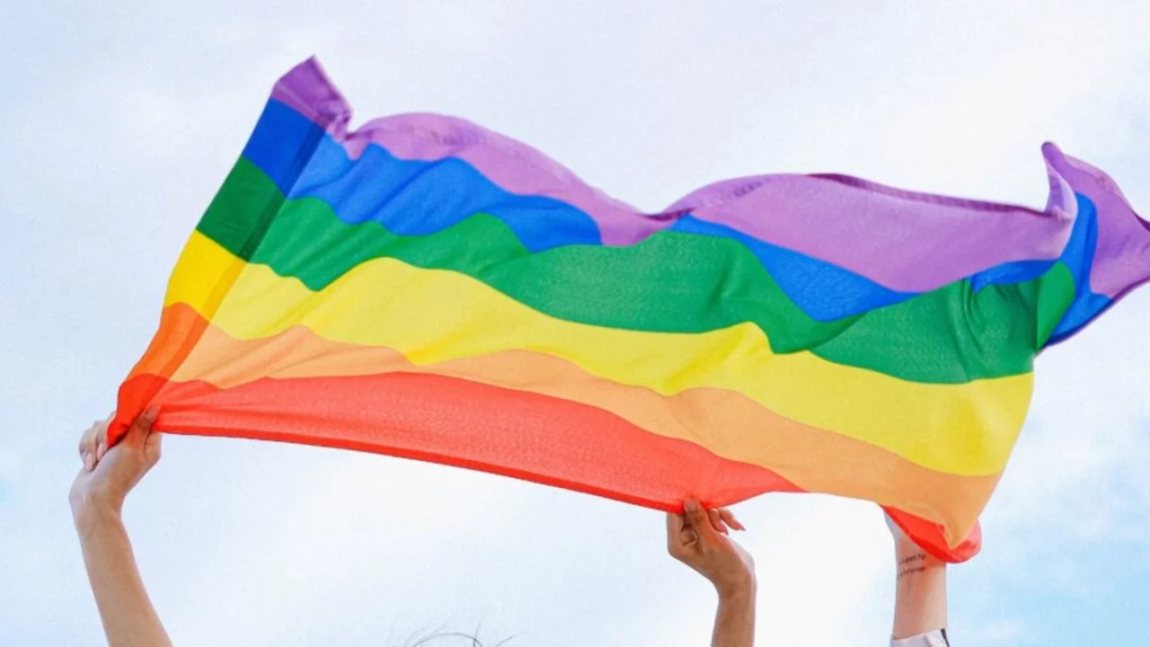 "Ailem Güvende" adı altında LGBTİ+'lara yönelik operasyonda 20 kişi tutuklandı