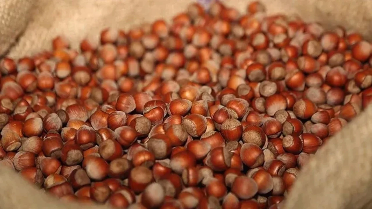 Ticaret Bakanlığı harekete geçti: Giresun ve Ordu'da denetim süreci başlatıldı