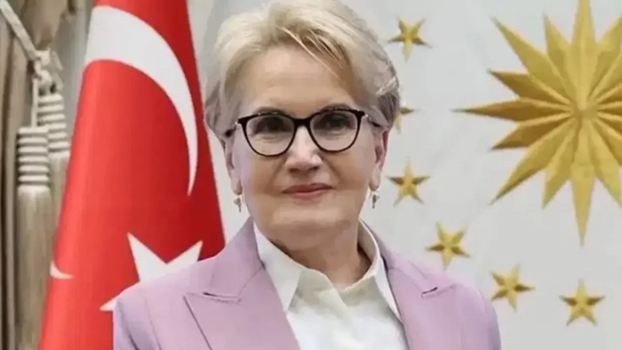 Meral Akşener Vakfı'nın logosu belli oldu