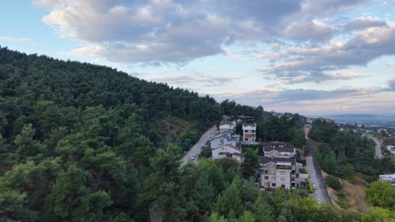 Bursa'da ayı alarmı! Vatandaşlara dikkatli olun çağrısı