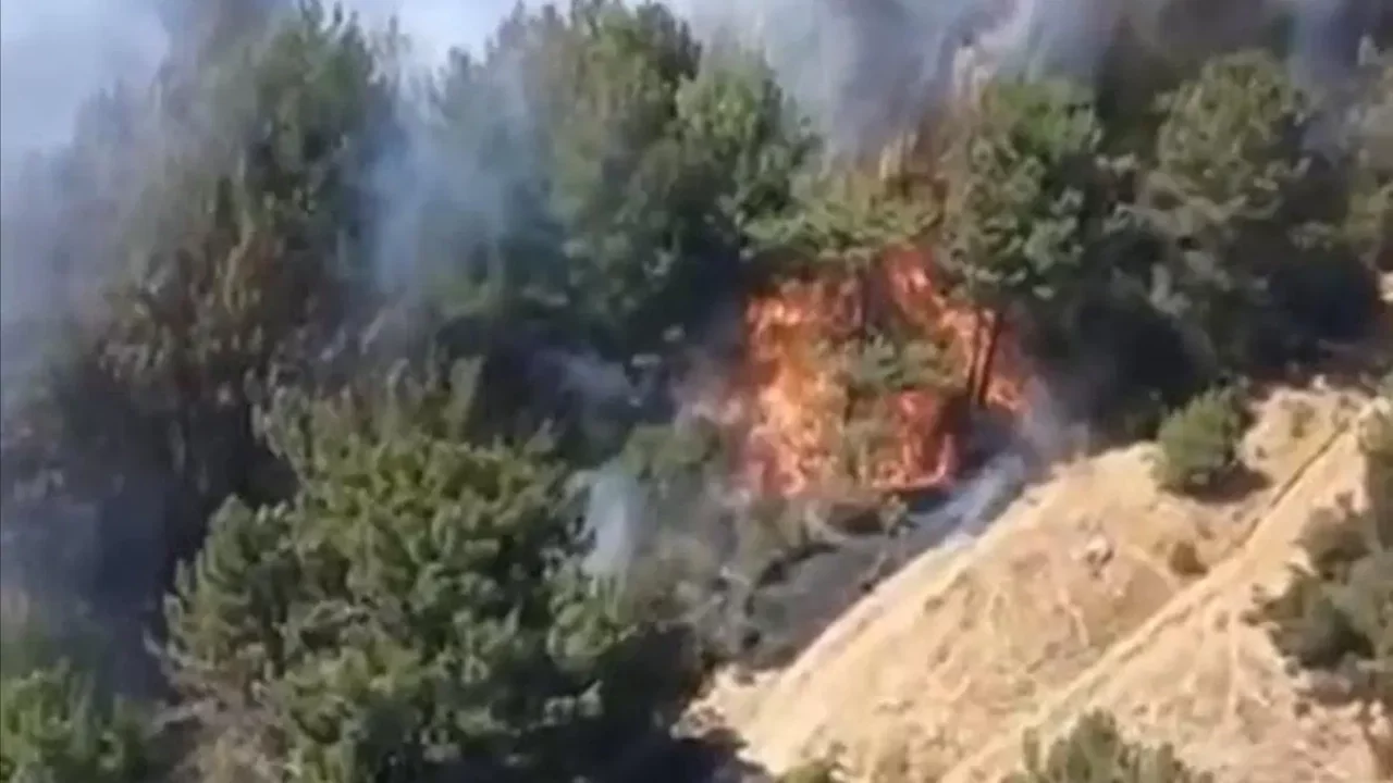 Balıkesir'deki orman yangını kontrol altında
