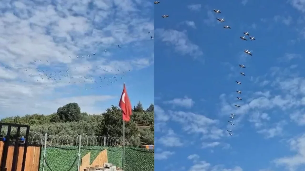 Bursa'da göç eden leylek sürüsü gökyüzünde görsel şölen oluşturdu