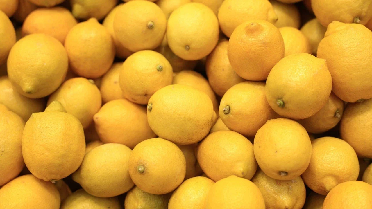 Limonda pestisit alarmı!