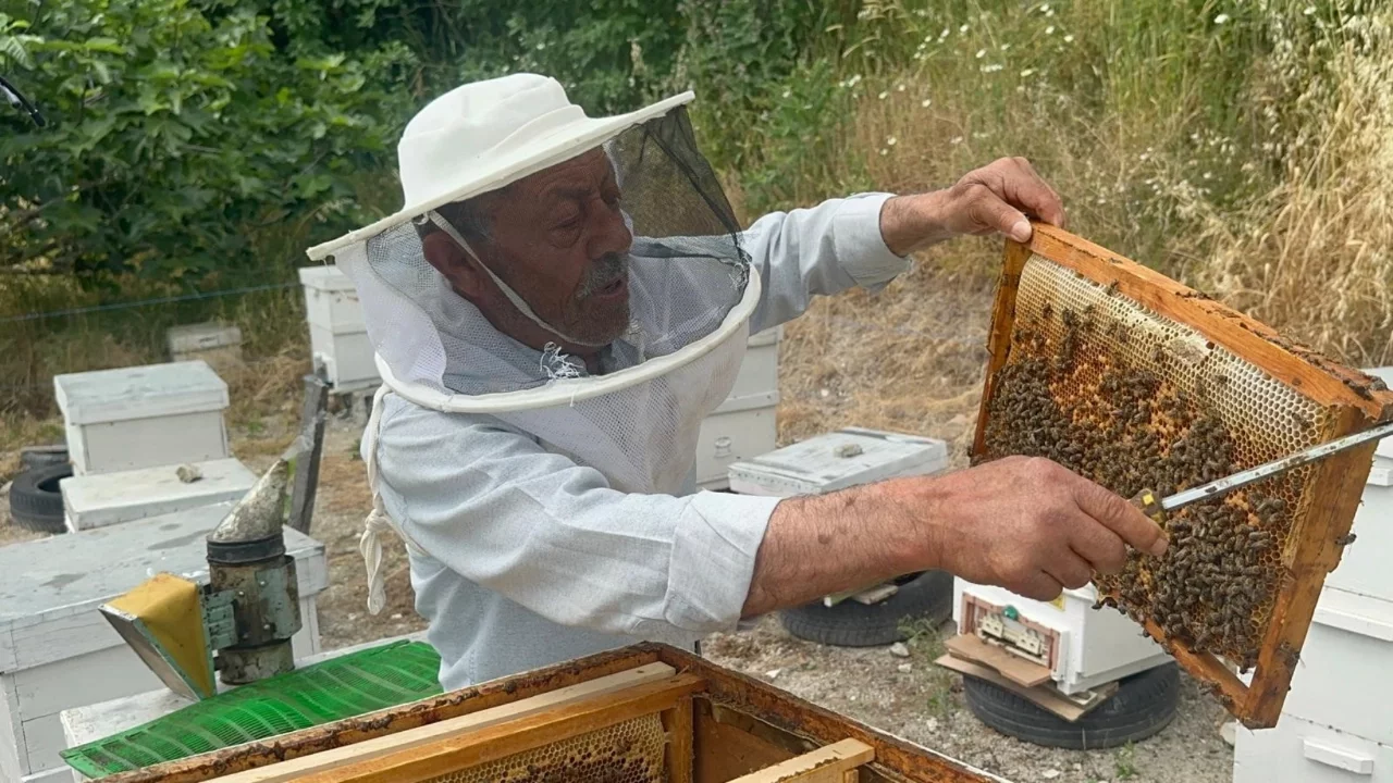 Emekli başgardiyan Bursa'da 50 yıldır arıcılık yapıyor: Balları Avrupa'ya gidiyor