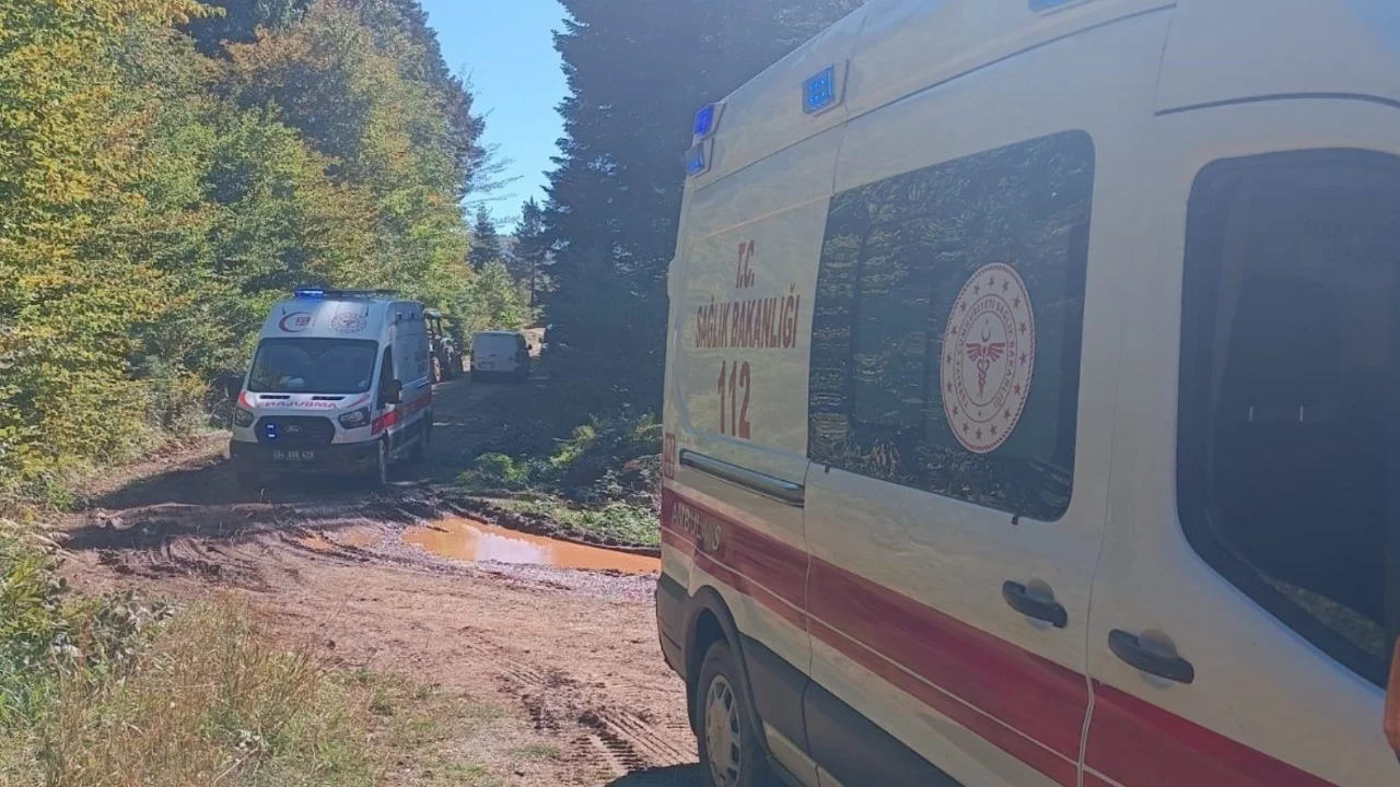 Sakarya'nın mantar toplamaya giden ailenin traktörü devrildi: Dede öldü, torunu yaralandı