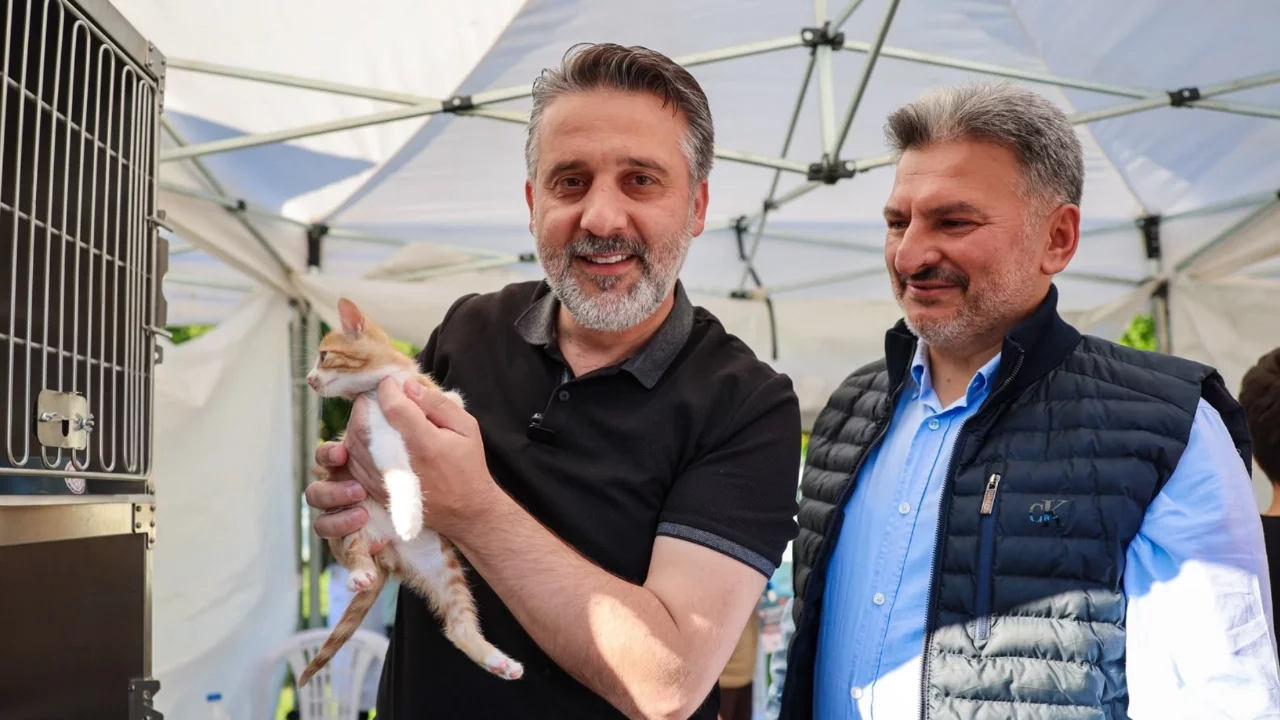 Bursa Büyükşehir'den can dostları için yuva seferberliği