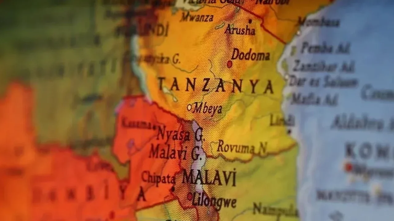 Tanzanya'da uçak kalkış yaparken zebraya çarptı