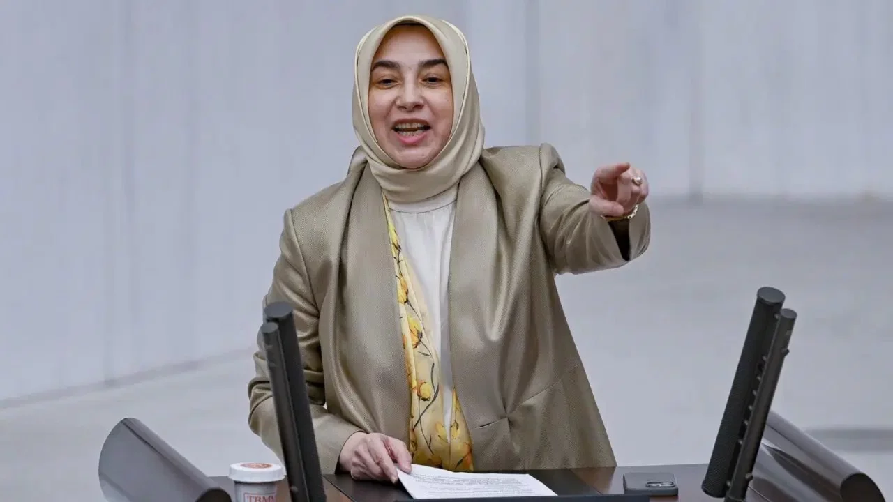 AK Parti'li Özlem Zengin'den 'fon krizi' çağrısı: 'Listenin tamamının açıklanmasını istiyorum'