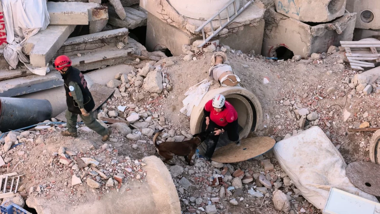 İnegöl'de K9'lara hayat kurtaran eğitim