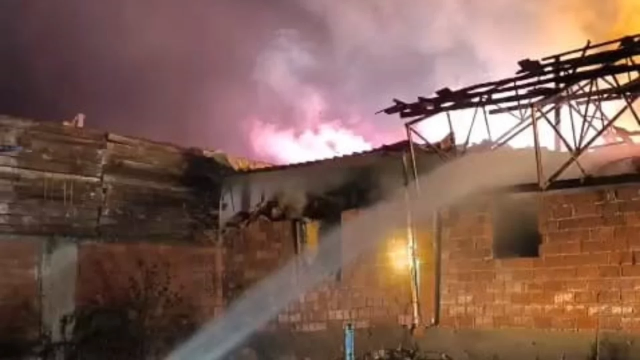 Bursa'da samanlık yandı!