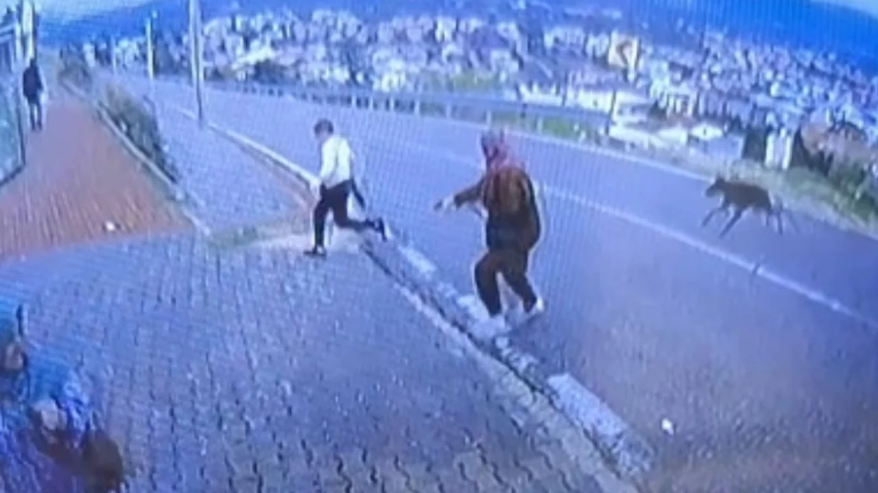 Bursa'da köpekten kaçan çocuk bacağını kırdı
