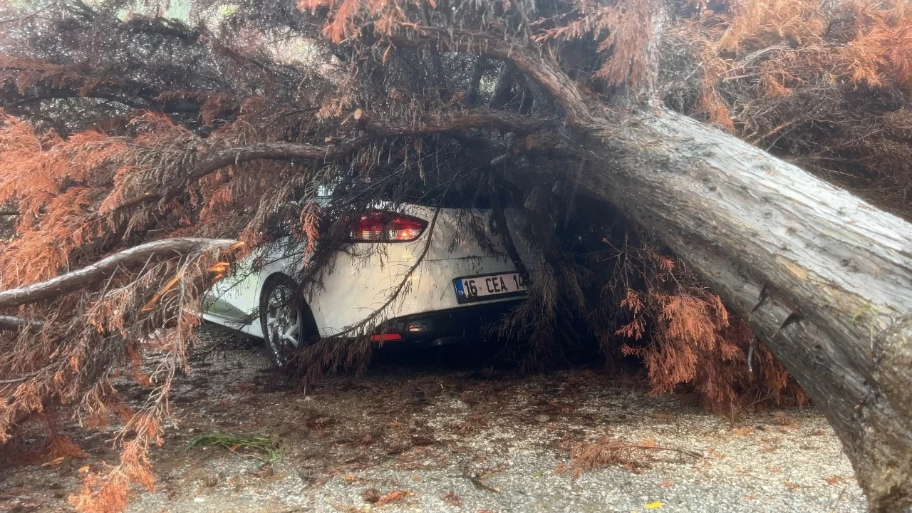 Bursa'da sağanak yağışta devrilen ağaç otomobilin üzerine düştü!