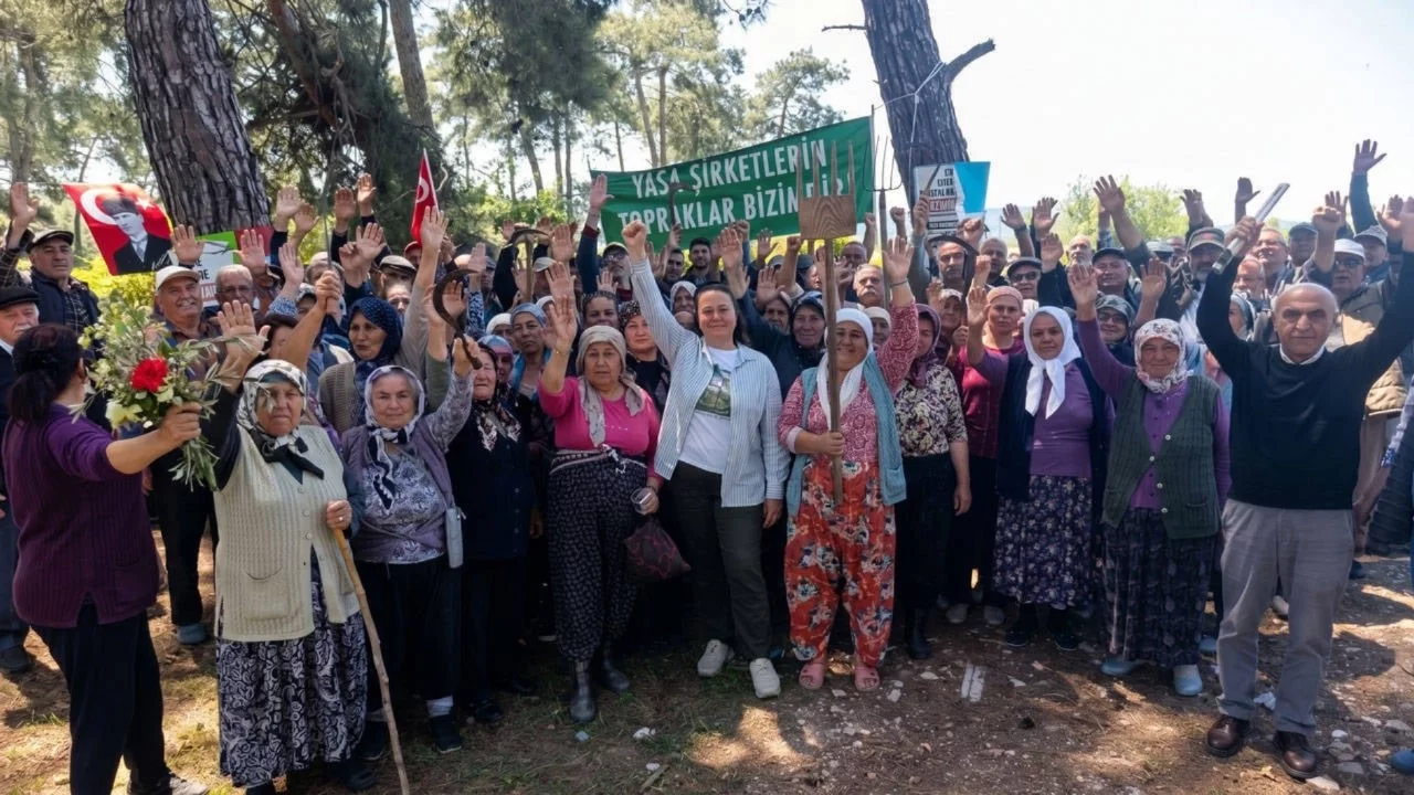 Danıştay'dan Akbelen'de şirket lehine karar
