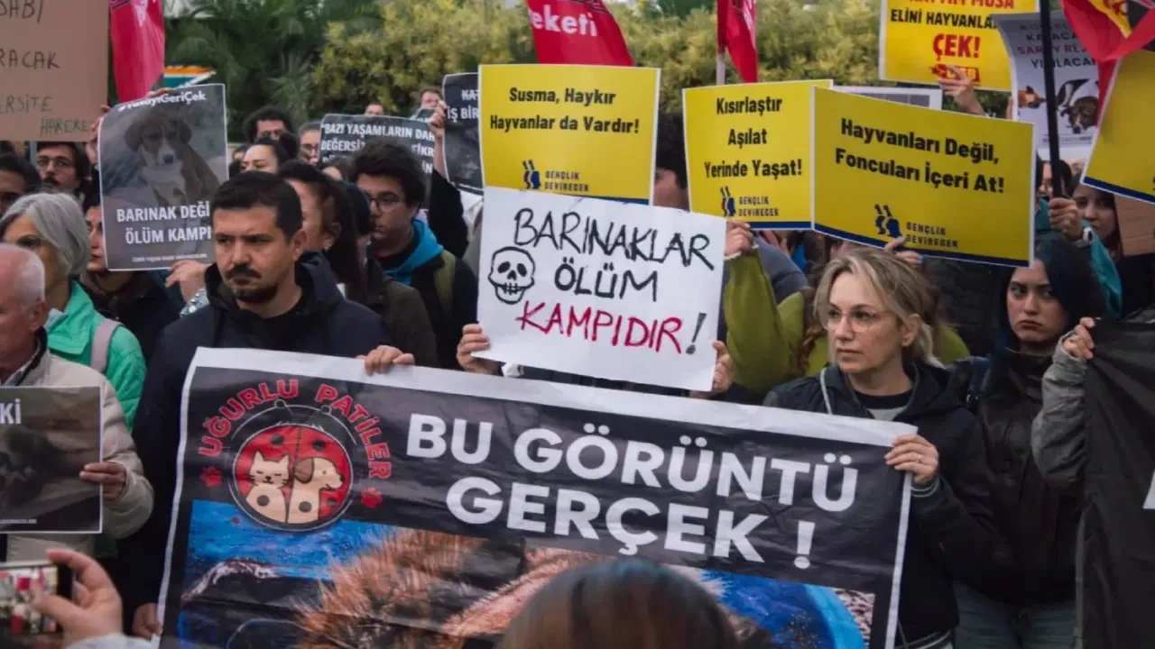 Ege Üniversitesi'nde sokak hayvanlarına destek yürüyüşü