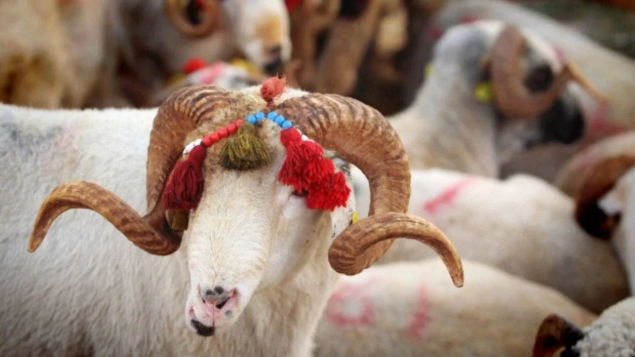 2027 Kurban Bayramı ne zaman, hangi tarihlere denk geliyor?