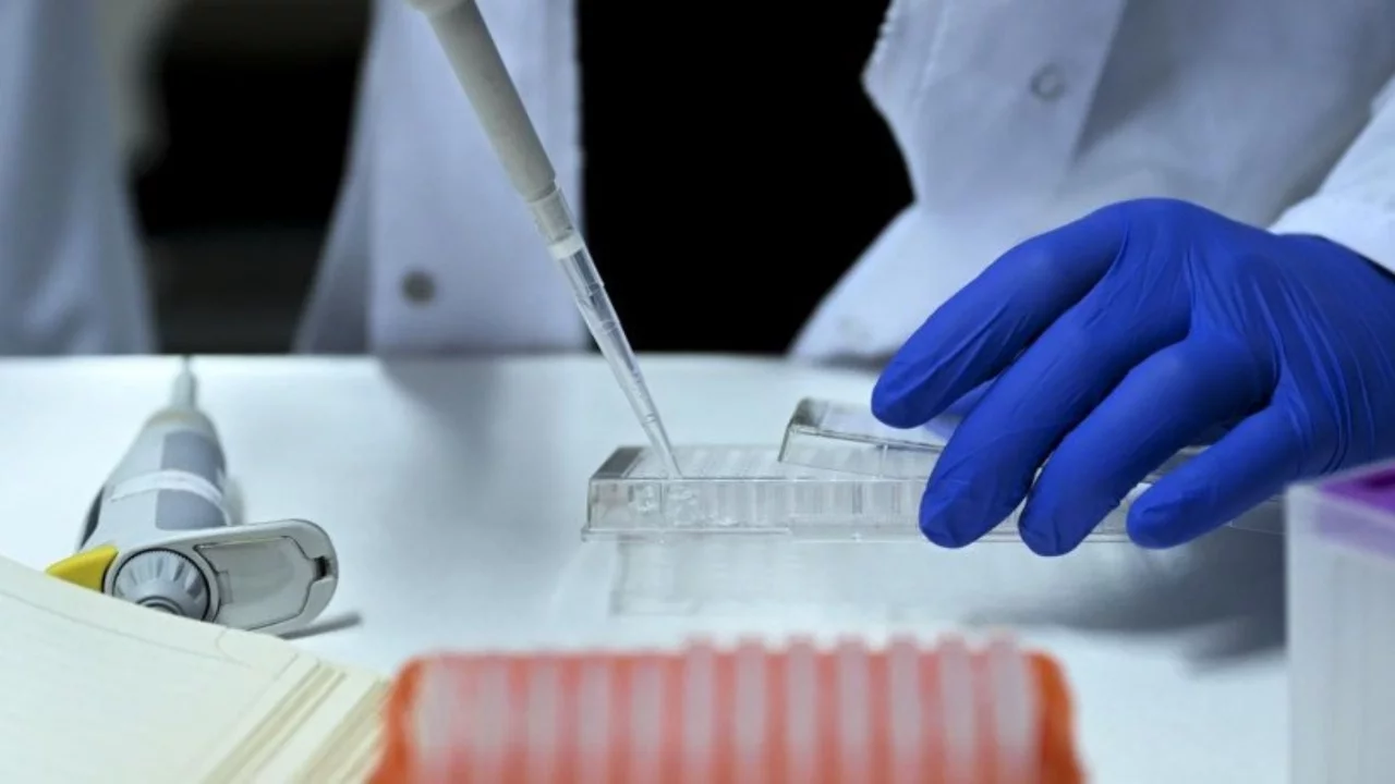 Yasa dışı üreme hücresi ticareti soruşturması: 8 tutuklama