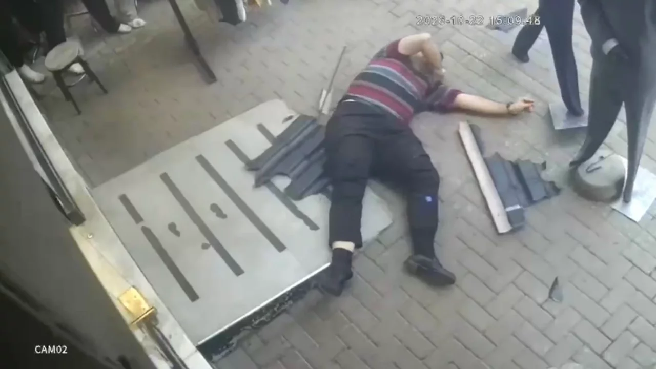 Bursa'da yavru kediyi kurtarmak isterken canından oldu! Feci kaza kamerada