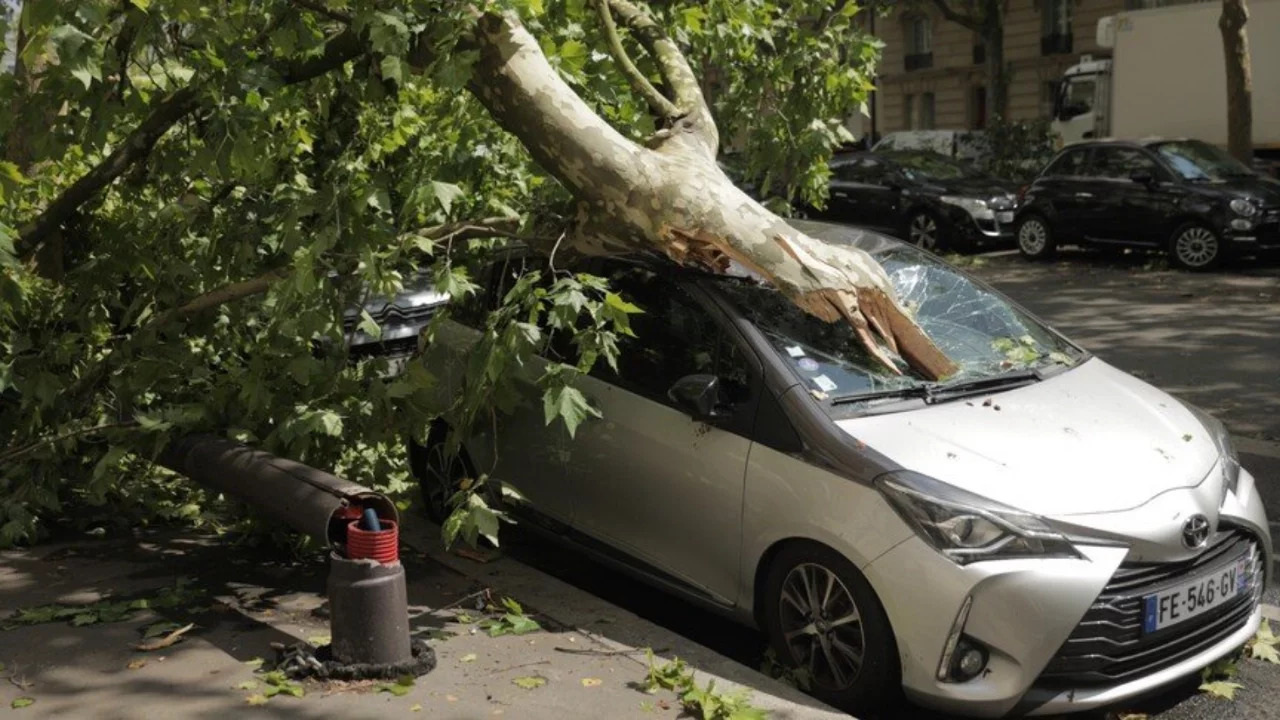 Fransa'da fırtına 59 bin hanede elektrik kesintisine yol açtı