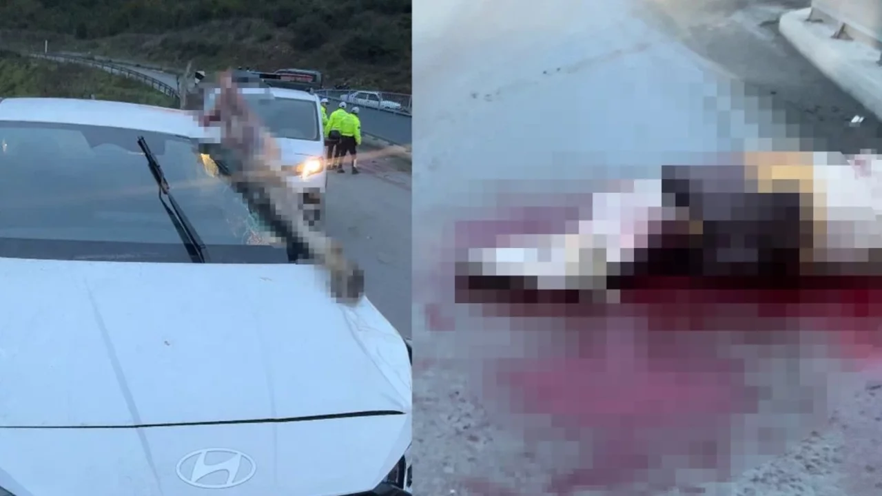 İstanbul'da korkunç kaza: Atın kopan bacağı otomobile saplandı