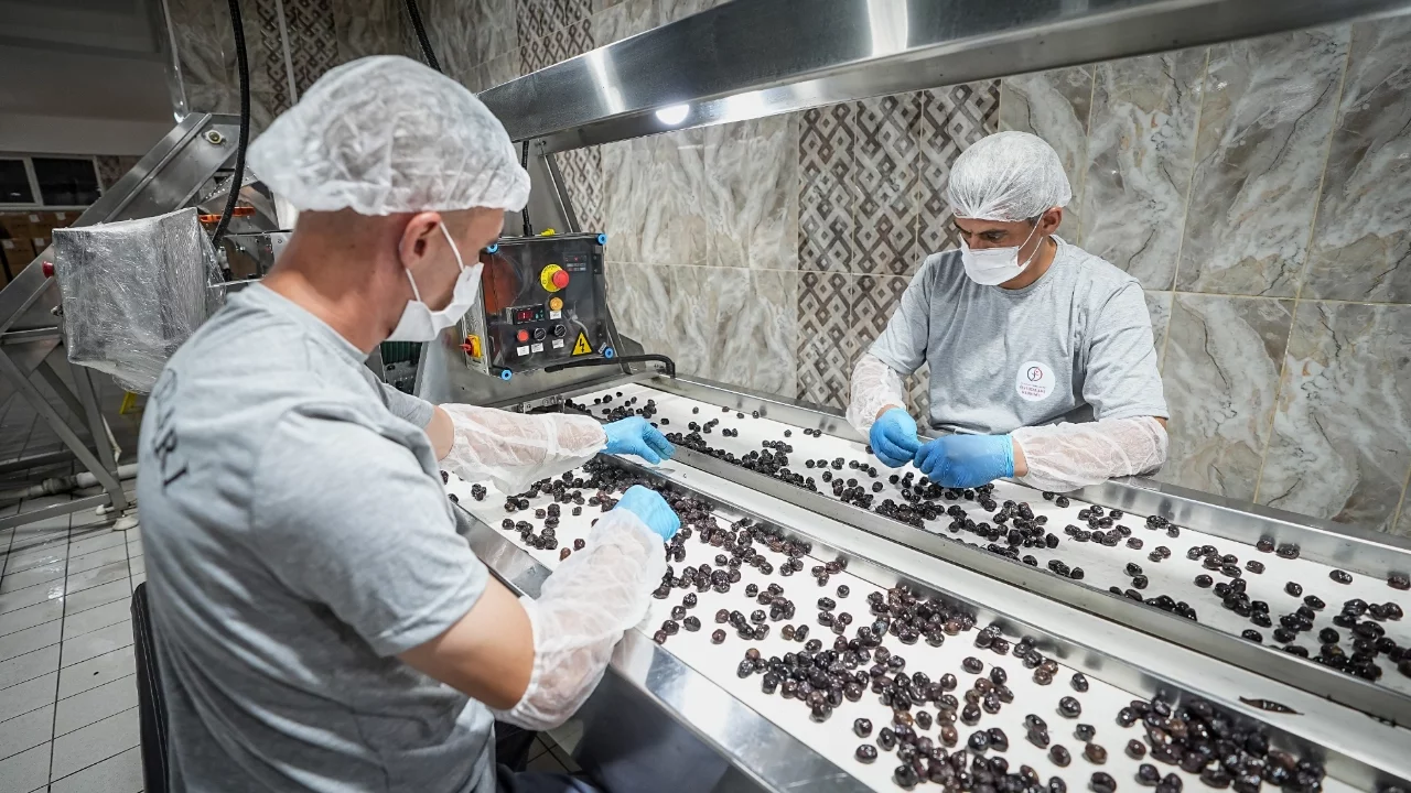 Bursa Gemlik'teki zeytin atölyesi hükümlülere meslek edinme, çiftçiye pazar imkanı sunuyor