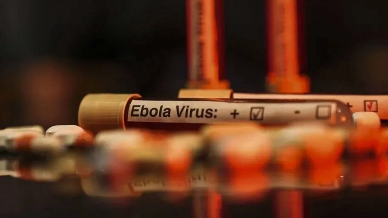 Kongo Demokratik Cumhuriyeti'nde Ebola alarmı: Vaka sayısı 10 bini aştı