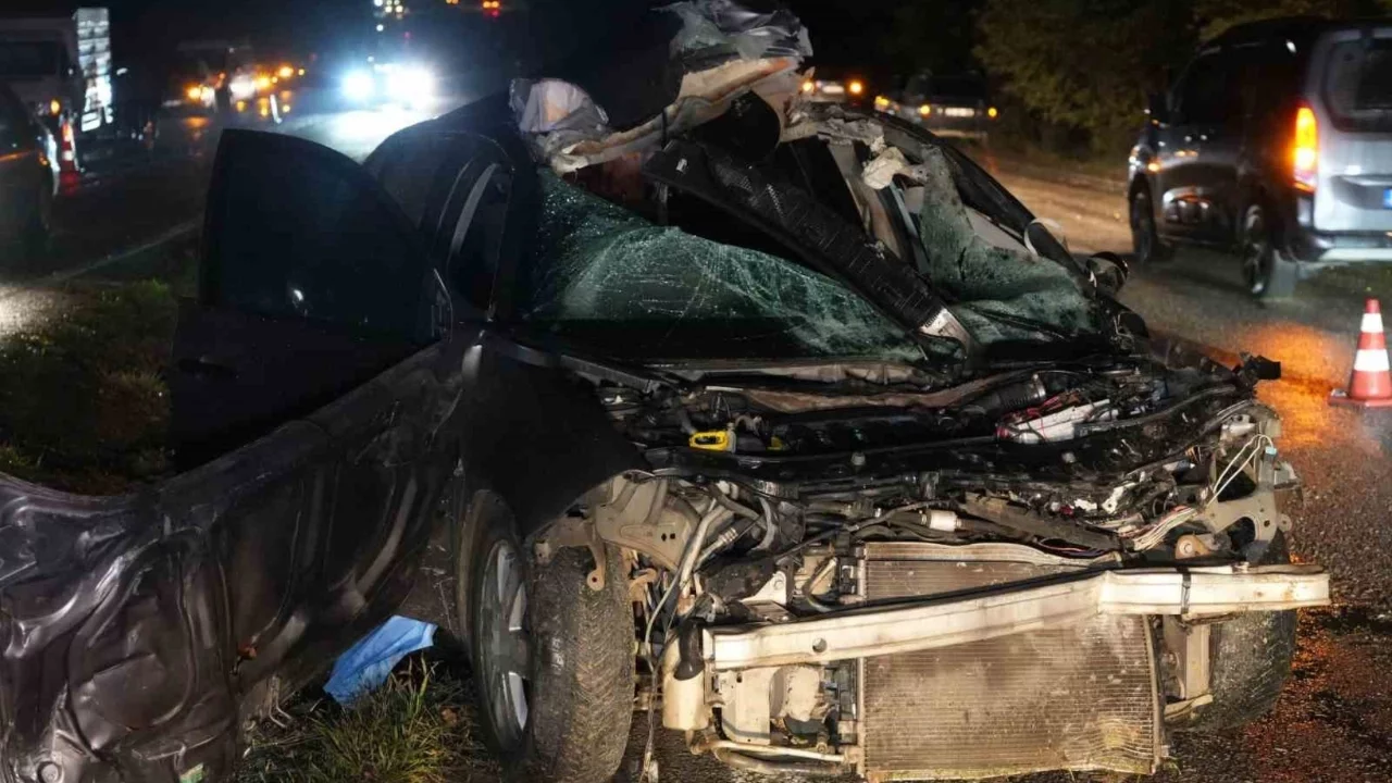 Büyükbaş hayvana çarpan otomobilin sürücüsü yaşamını yitirdi