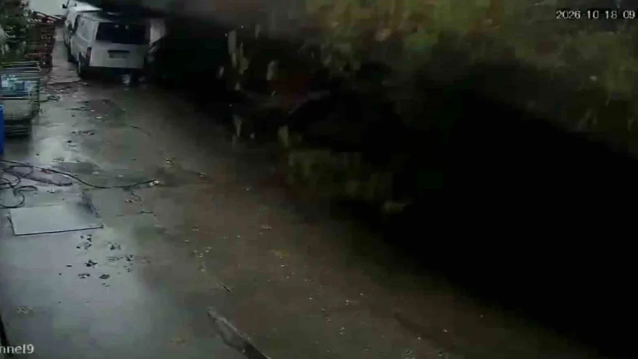 Zonguldak'ta istinat duvarının çöktü: Köpekler telef oldu, 2 araç enkaz altında kaldı