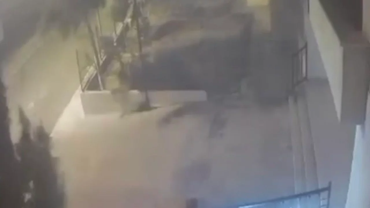 Mardin'de devrilen ağaçtan 10 saniyeyle kurtuldu