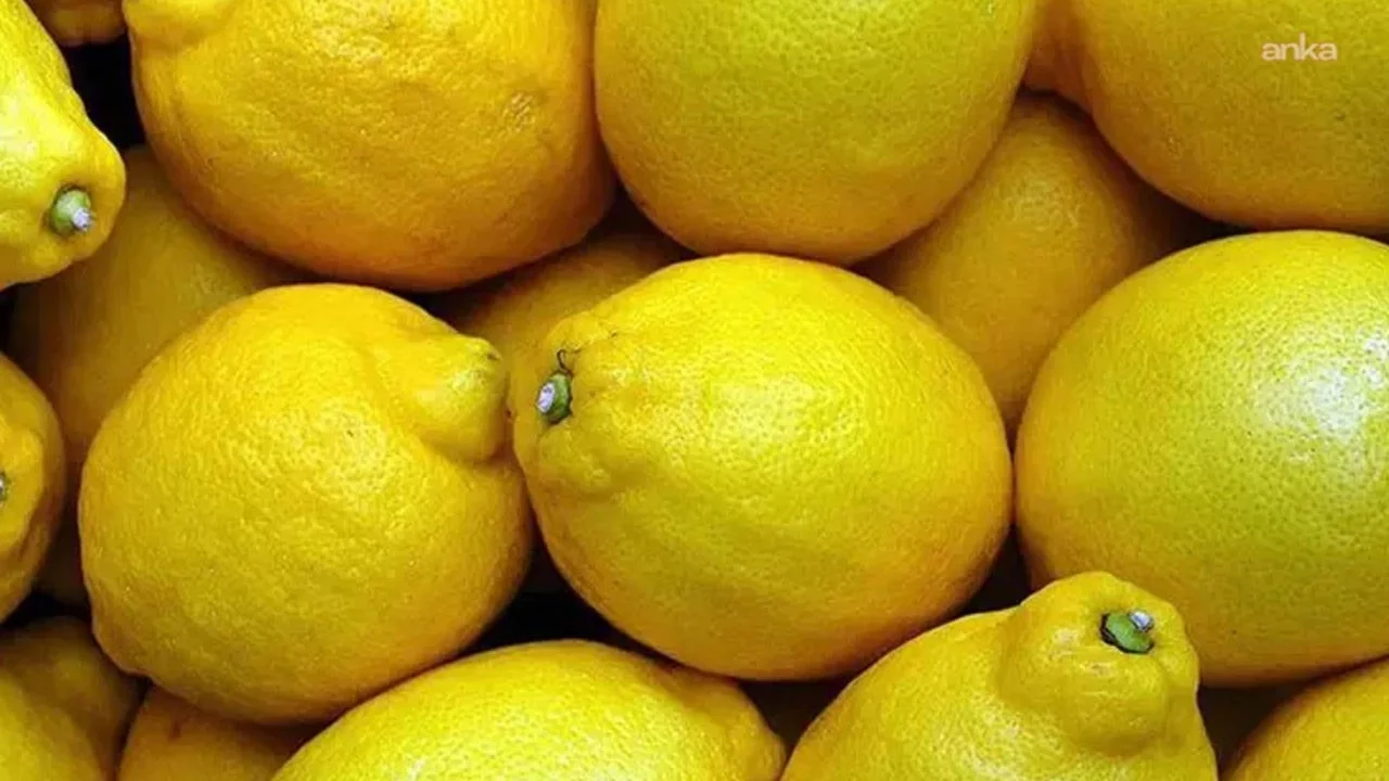 Limonun fiyatı 10 katına çıktı: Yüzde 999'luk fiyat uçurumu