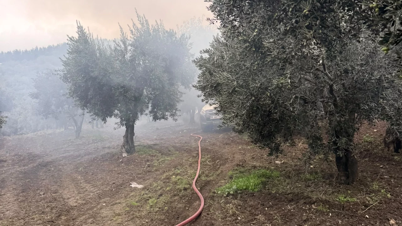 Balıkesir'de zeytinlik içerisindeki müstakil evde yangın çıktı